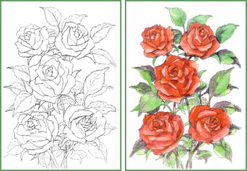 バラの作品 大人の塗絵 バラの描き方 塗り絵で癒し 風景画 花の絵