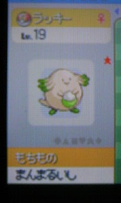 色違い003 ラッキー 簡単な色違い捕獲用ポケトレアドバイス ケイサクポケモンまたり日記