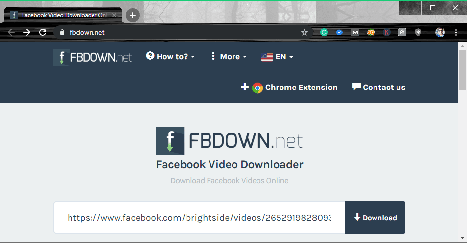 How To Download Facebook Videos Online