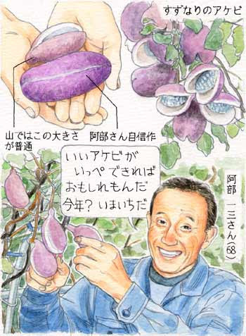 アケビ