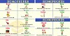List of 300+ Homophones from A-Z with Useful Examples