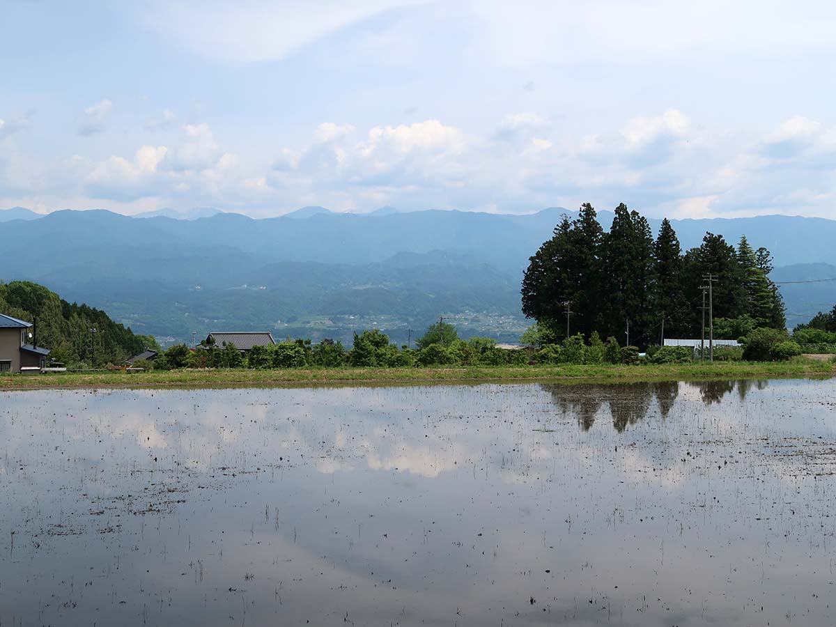 高森町で美しい風景と小さな花たちに出会いました 宮下一郎ブログ