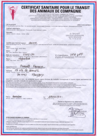 Documents officiels : achat ou adoption