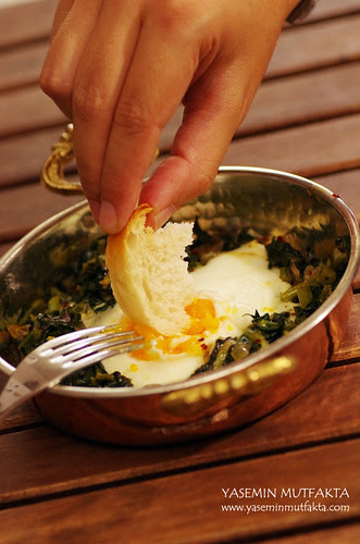 Yumurtalı Ispanak