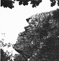 Klintagumman