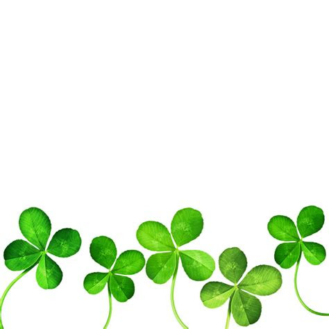 leaf clover clipart clipart collection png