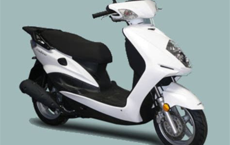Download download daelim delfino 100 scooter service repair workshop manual instant download Board Book PDF