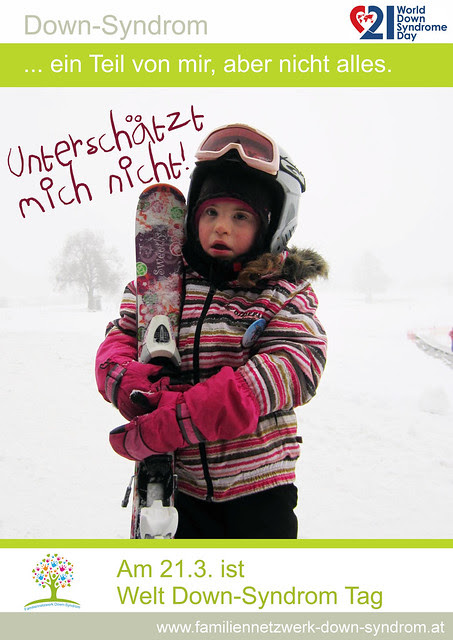 Poster2013 nina01