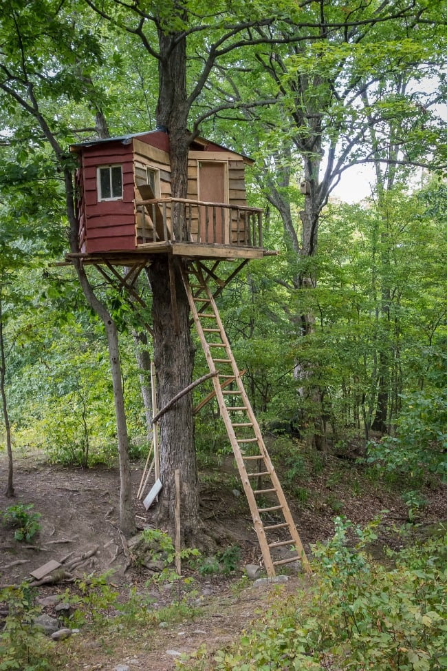 Two Door Treehouse - Kids Activities Blog