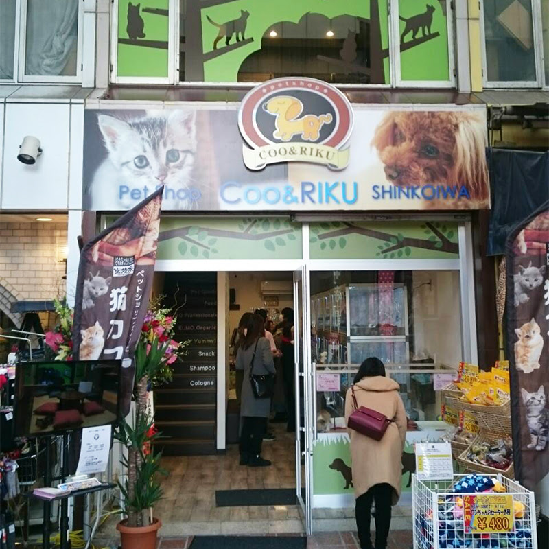猫カフェなら猫喫茶空陸家 東京 新小岩店