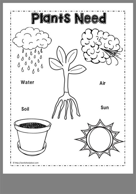  science kindergarden kindergarten worksheets hackfas