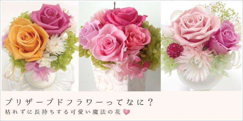 Hana Peace 花を愛し心が高まる美心レッスンプリザーブドフラワー