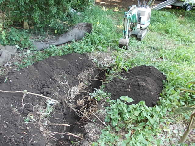 トゲのある枝は地中に埋めたれ