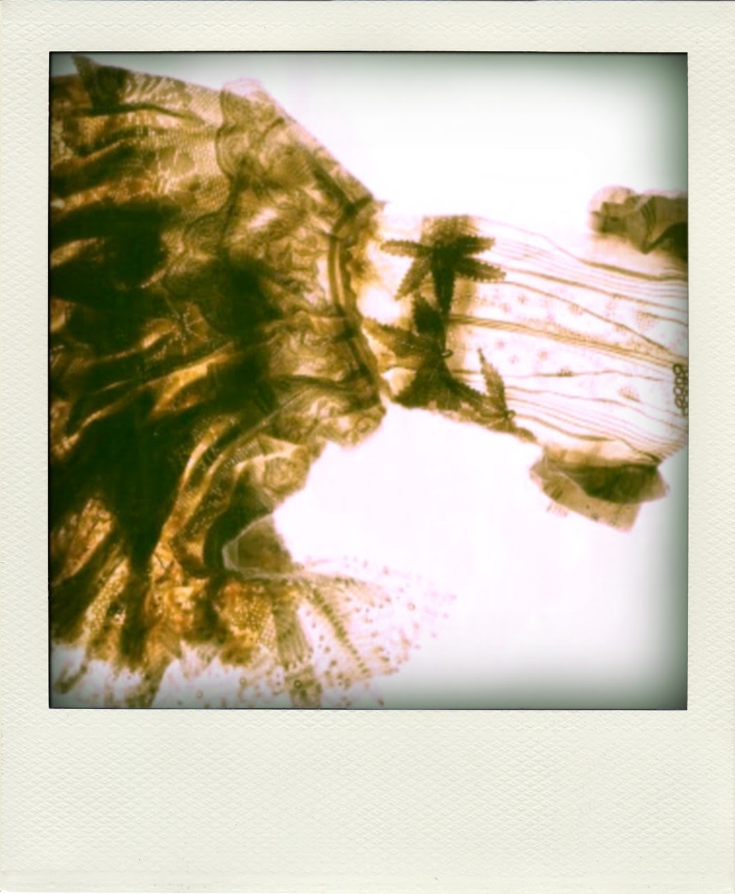 http://24.media.tumblr.com/tumblr_ln2at4V9fX1qhj0vco1_1280.jpg