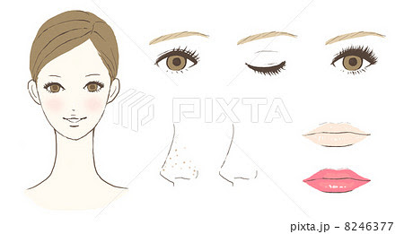 顔のパーツイメージのイラスト素材