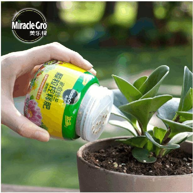 多肉植物需要施肥嗎 應該施什麼肥 這些你都知道嗎 每日頭條