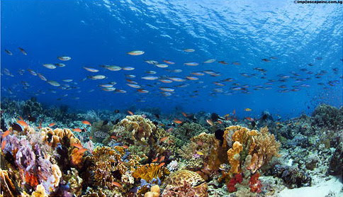 Parque Nacional de Komodo