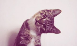 Hai, why you is crookeded?