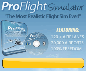 Download Flight Simulation Game Banner