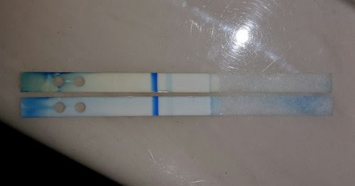I Got A False Negative And I Freaked Out End Of Story Go Home People Babycenter