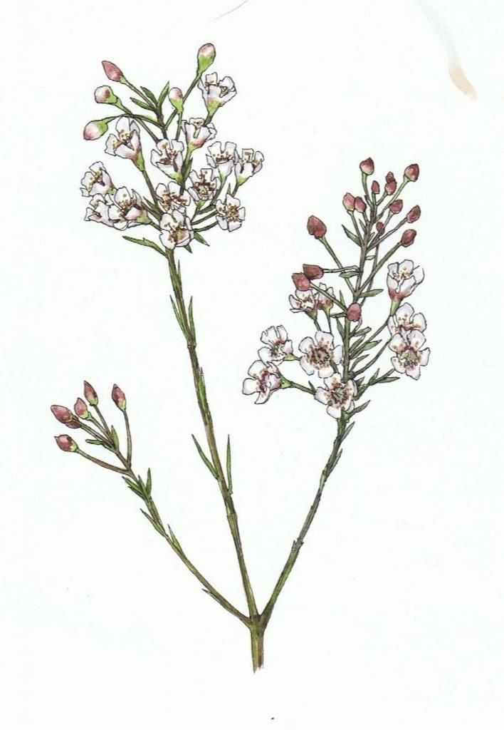  photo Image30.jpg