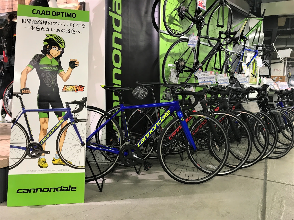 Cannondale パーマ先輩の大きなパネルがやってきた これ何に使えばいいの 弱虫ペダル Y S Road 神戸店