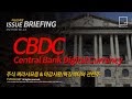 Understanding Central Bank Digital Currencies (Cbdc) / What is Central Bank Digital Currency (CBDC)? | Coinspeaker / Risks and issues (interim paper).