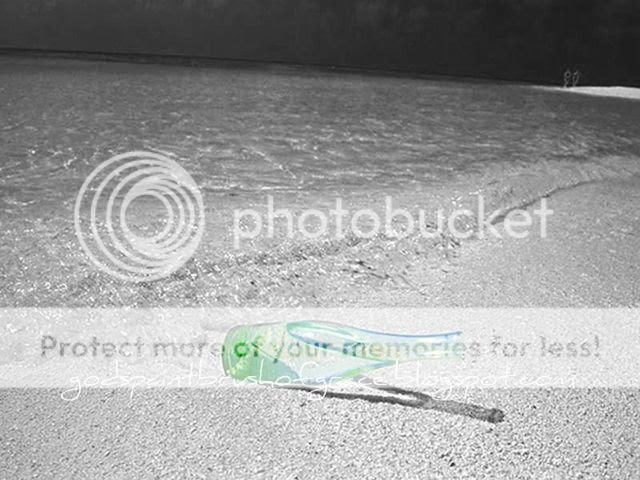  photo BOTTLE_zpslp7603n0.jpg