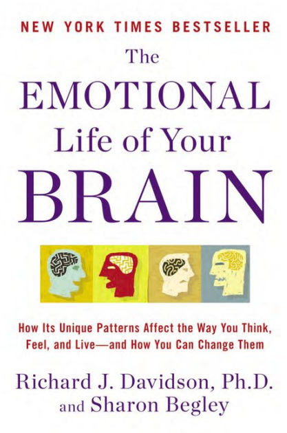 The Emotional Life Of Your Brain How Its Unique Patterns