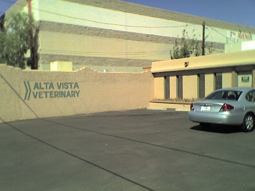 animal control