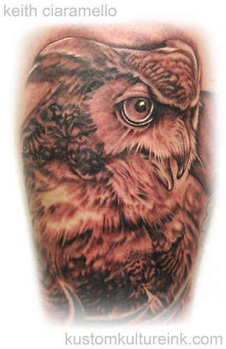owl1.jpg