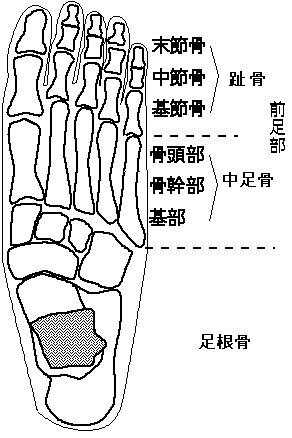 1 第５中足骨基部骨折