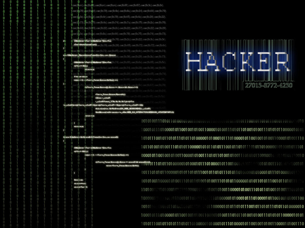 15-year-old hacks 259 websites in just 3 months 