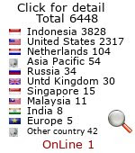 web page counter
