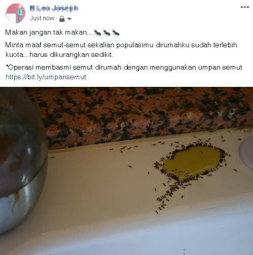 Imej