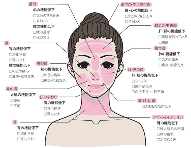 美容鍼とは 日本美容鍼灸マッサージ協会 美容鍼 鍼灸 Jface