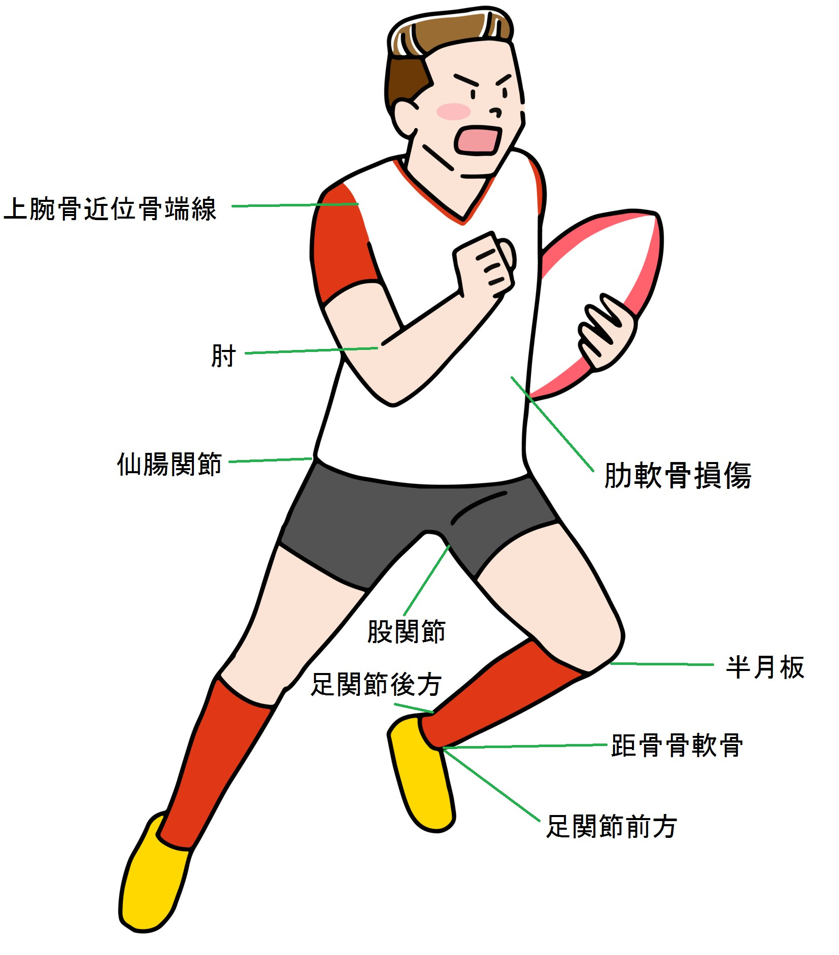 軟骨損傷 骨挫傷 アスリートゴリラ鍼灸接骨院 旧高林はりきゅう接骨院