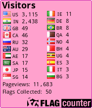 Flag Counter