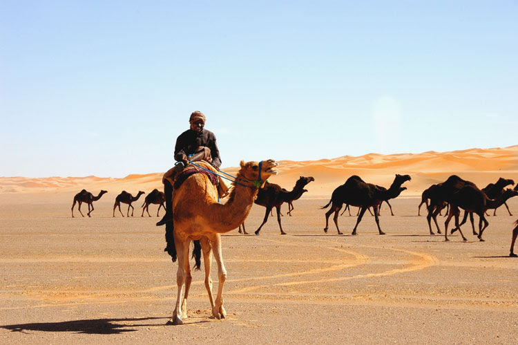 Arabian Peninsula - Wikipedia, the free encyclopedia