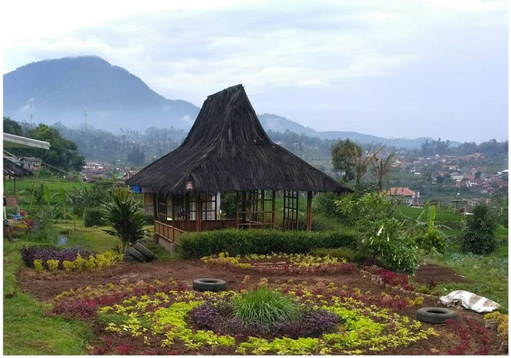 BUNGA DI TAMAN SANGATLAH INDAH MAWAR MEREKAH JADI HIASAN BUNGA DI TAMAN SANGATLAH INDAH MAWAR MEREKAH JADI HIASAN