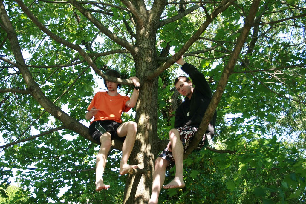 Klemens and Joe in tha tree