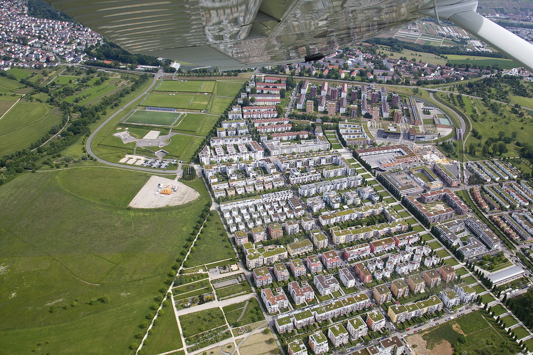 Niedliche Creme Maine Coon Kaufen Im Tiermarkt Von