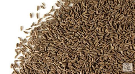 Find quality beverages products to add to your shopping list or order online for . Monterey Bay Spice Co. - Caraway seed, whole Organic