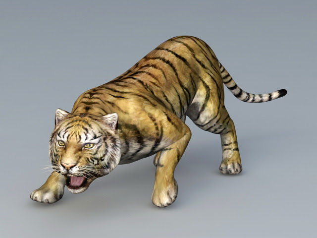 Attack Tiger 3D  model  Download  for Free 