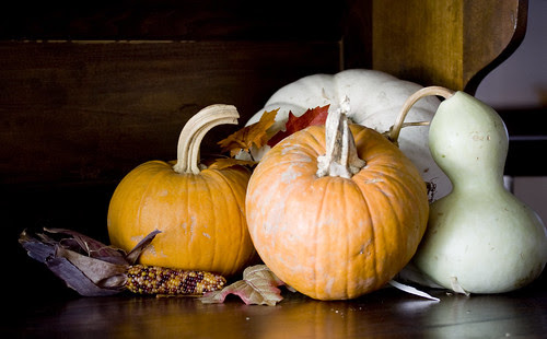 Pumpkin still life