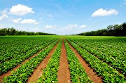 Populer 31+ Farming And Agriculture