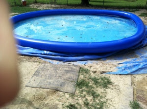 Skip's bill, swimming pool, Camie 8-3-13 052