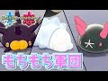 ナマコブシ ユキハミ ポケ���ン 253890