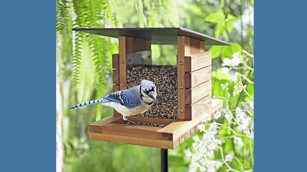 Bird Feeder Plans and Step-by-Step Instructions - YouTube