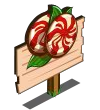 Peppermint Candy
